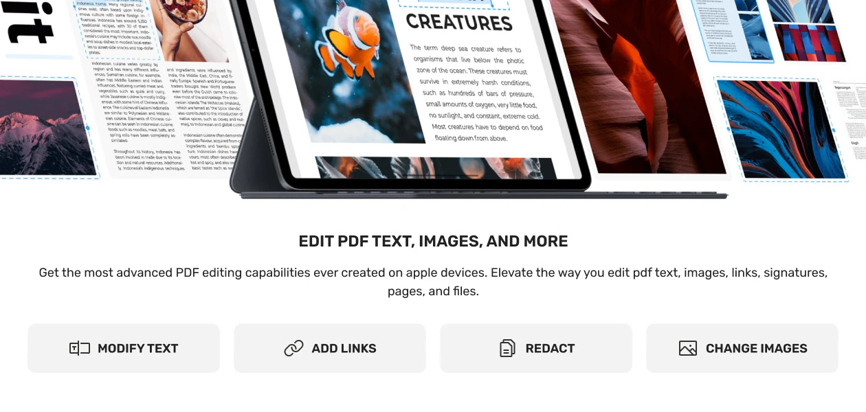 Product Enrichment Section Image