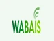 WABAIS