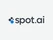 Spot AI
