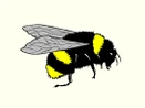 BuzzXplore 4 BuzzXplore 4