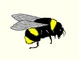 BuzzXplore 4