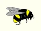 BuzzXplore 4