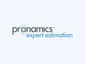 Expert Estimation