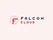 Falconcloud