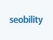 Seobility