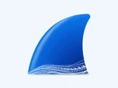 Wireshark 
