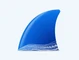 Wireshark 