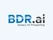 BDR AI
