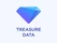 Treasure Data