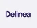 Delinea