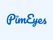PimEyes