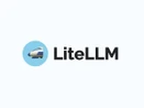 LiteLLM