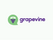 Grapevine