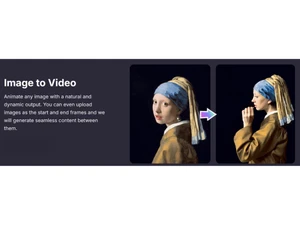 Pollo AI image to video