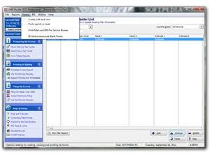 1099 Pro Professional formats