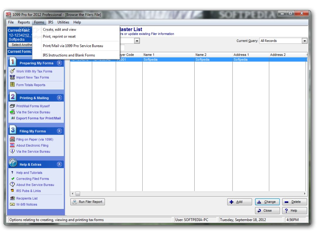 1099 Pro Professional formats