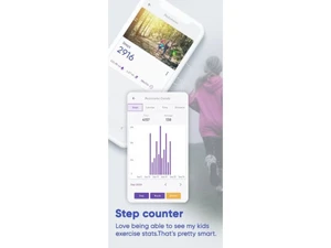 Parental Values counter