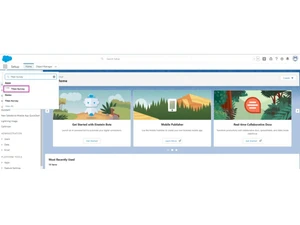 titan-survey-salesforce