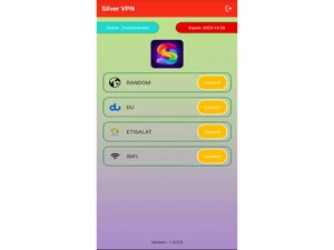 silver vpn-connections