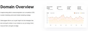 ubersuggest domain overview