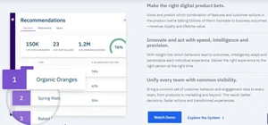 amplitude recommendation