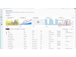 microsoft fabric dashboard