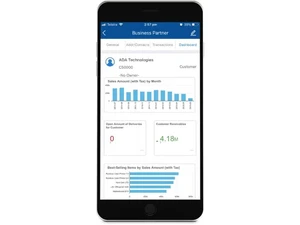 sap business one partner