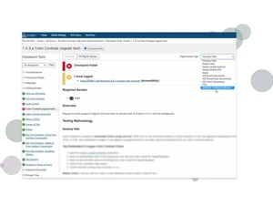 deque-axe auditor contrast
