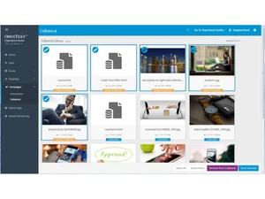OpenText Web CMS-campaigns