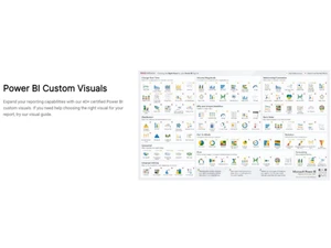 MAQ Software-power bi