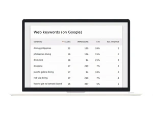 Matomo Web Analytics-keywords