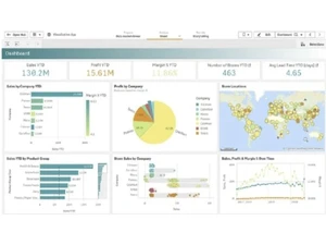 Qlik Cloud Analytics-dashboard