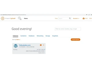 aws lightsail-console