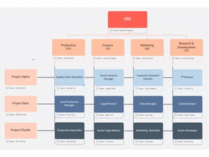 MindManager Professional-matrix