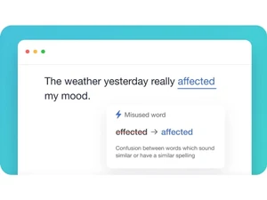 ginger grammar checker misused