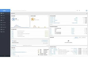 sellercloud-analyticspage