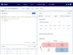 fiddler ai-classification