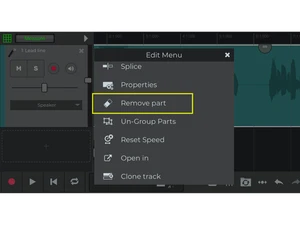 n track studio-removingpart