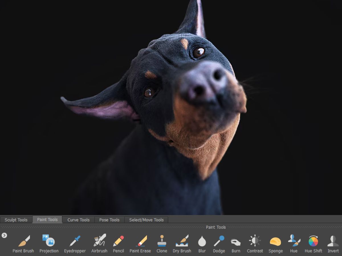 mudbox dashboard