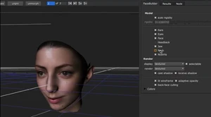 keentool facebuilder features