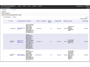 Tangoe TEM-invoicing