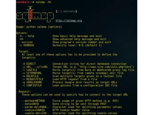 sqlmap settings