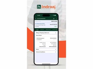 indraaj-balancesheet
