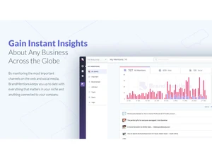 BrandMentions-insights
