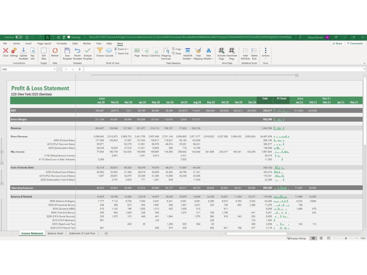 Vena-income statement