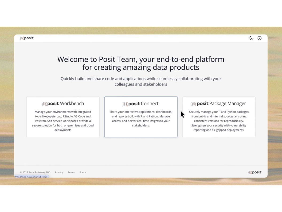 Posit-workflow