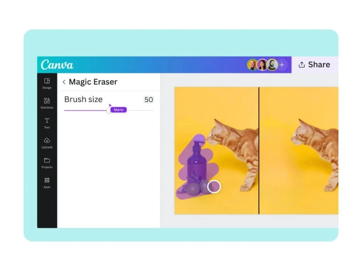Canva-magic eraser