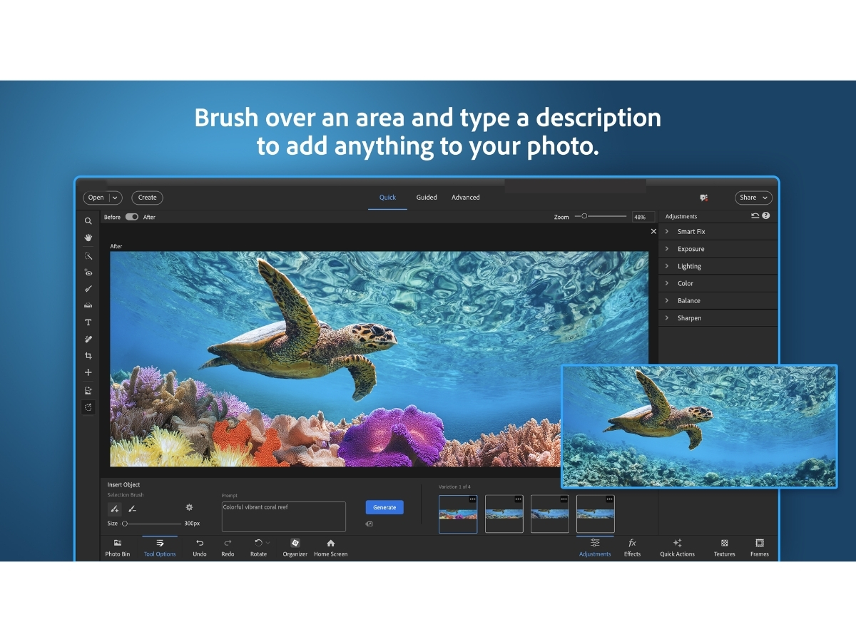 Adobe Photoshop Elements-adjustment