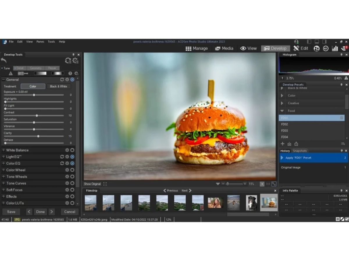 ACDSee Photo Studio-filters