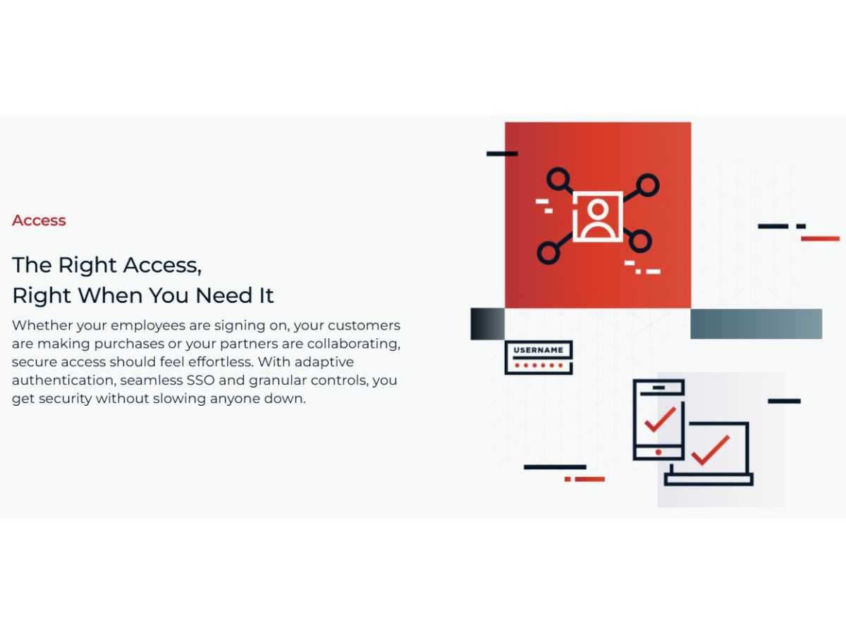 Ping Identity-access